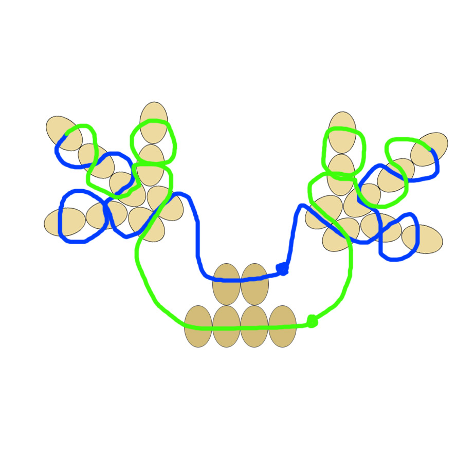 Threading pattern for beaded Reindeer antlers