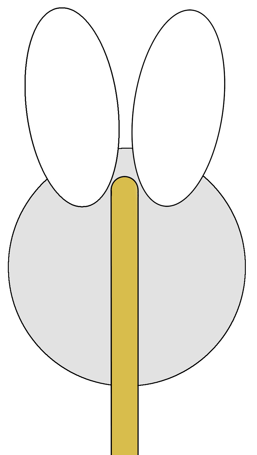Template for Ears on Bunny Lollipop - Easter Crafts For Families and Kids.