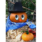 Free Craft Patterns - Fun Craft Patterns - Free Craft Project Patterns for all types of crafts.